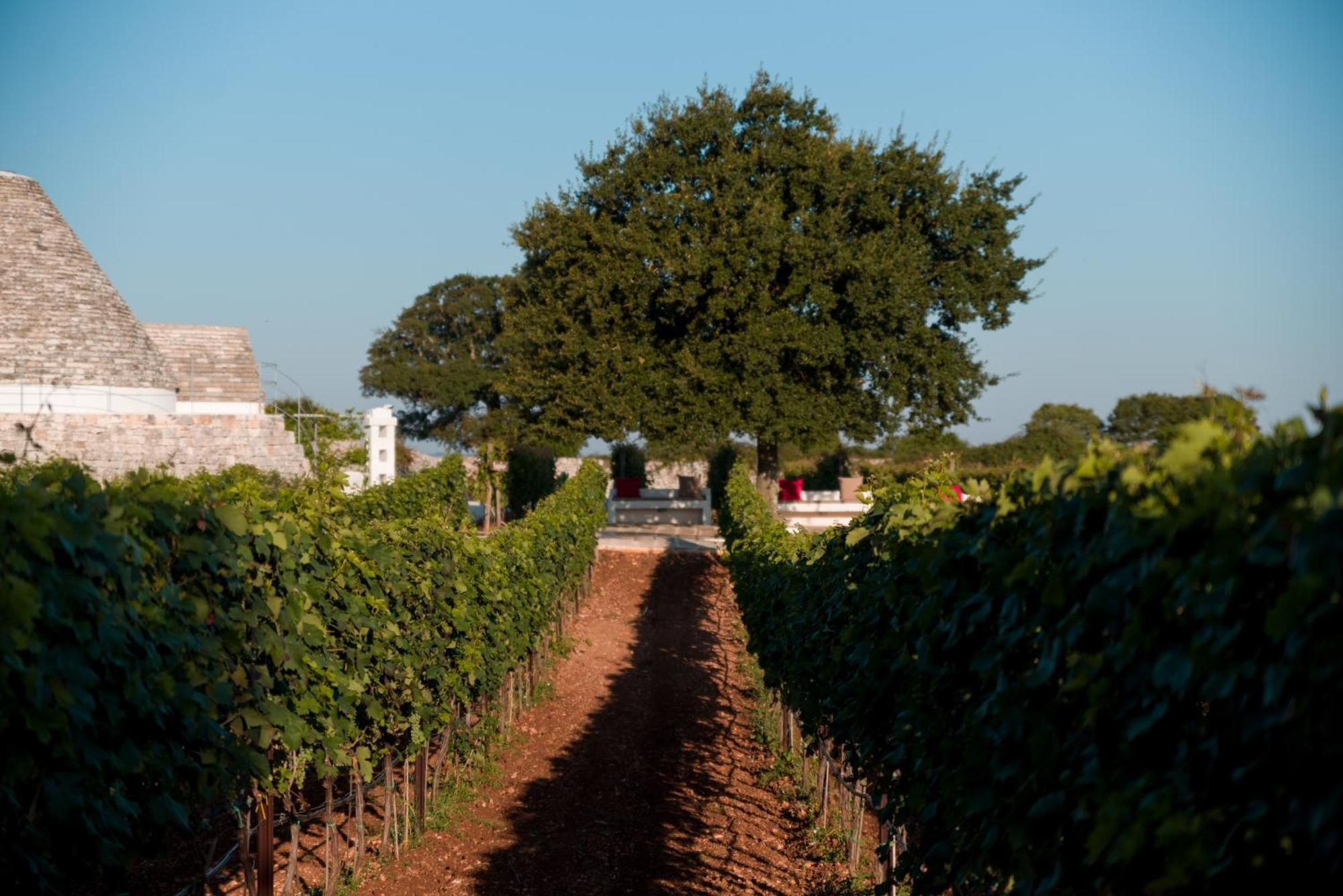 Nina Trulli Resort Selva Di Fasano Εξωτερικό φωτογραφία